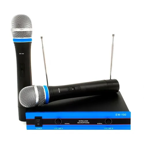 Бездротовий комплект з 2 мікрофонів Wireless DM EW-100 радіосистема