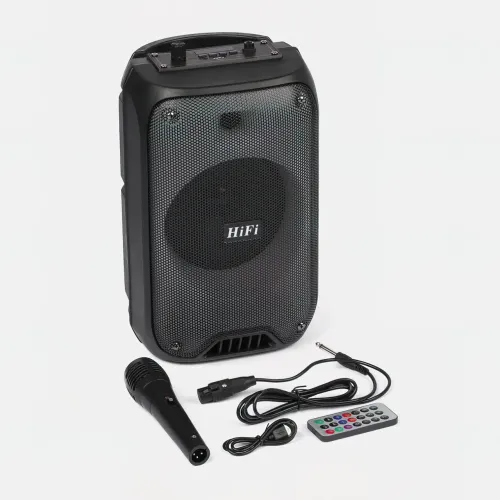 Автономная акустическая система TMG ORIGINAL RX-6168 (1MIC+MP3+USB+FM+BT) - фото 2