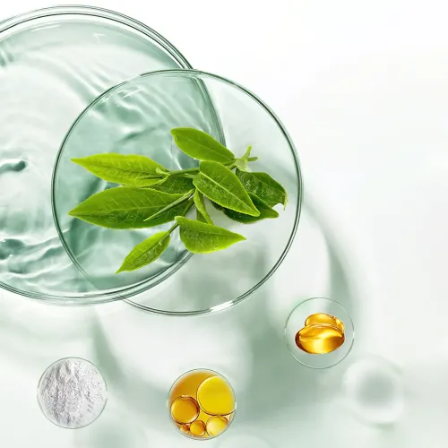 Маска для лица Green Tea Mask Stick от Nicor с экстрактом зеленого чая, глиняная, в форме стика - фото 5