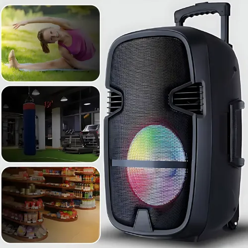 Портативная колонка Tekno altavoces 6.5'' с микрофоном и RGB светомузыкой, аккумуляторный Bluetooth динамик