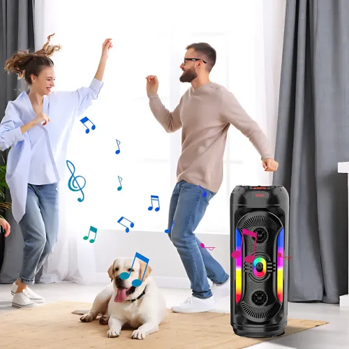 Портативная Bluetooth-колонка 2x8 25 Вт х2, с микрофоном, LED-подсветкой, USB/SD/FM/AUX/BT, дисплеем, пультом - фото 10